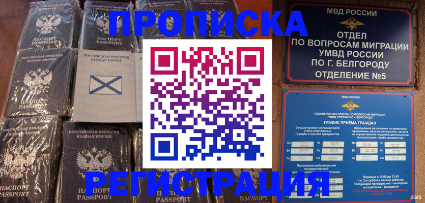 прописка гарантия в Майкопе
